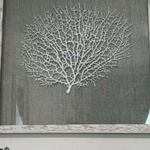 NEW Bodaway Coral in Shadowbox with wood f…